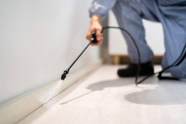 Licensed Termite Control service in St. Ignace, MI - Nex Pest Control