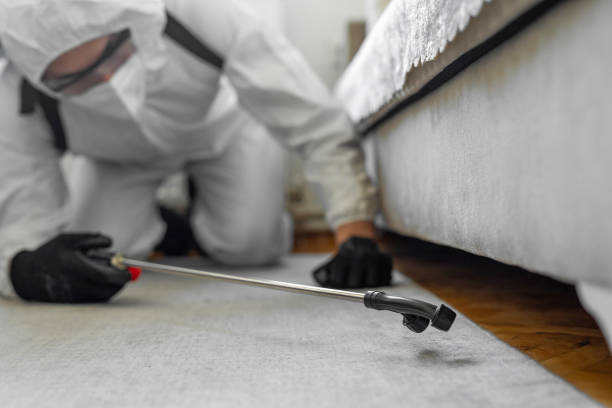 Professional Termite Control technician working in St. Ignace, MI