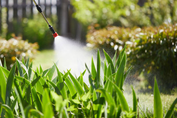 24/7 Emergency Termite Control experts in St. Ignace, MI