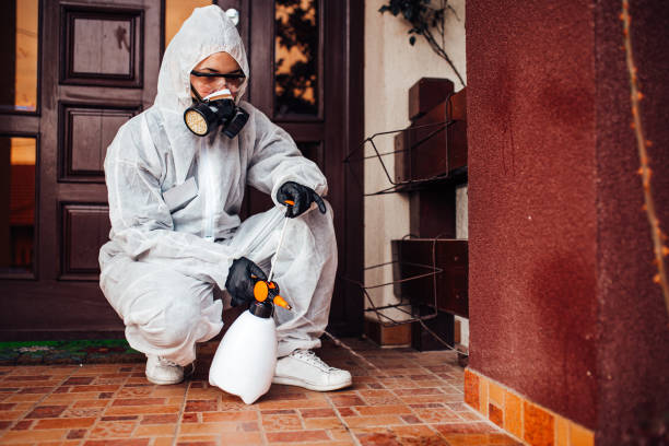 Reliable Termite Control contractor in St. Ignace, MI by Nex Pest Control