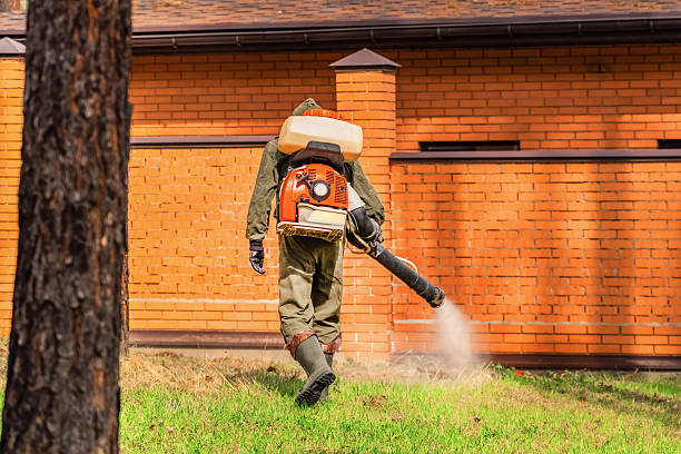Trusted Bed Bug Control service in St. Ignace, MI - Nex Pest Control